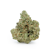 HOUSE THC-A FLOWER - SUPER GLUE (INDICA)