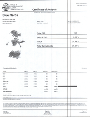 HOUSE THC-A FLOWER - BLUE NERDZ (HYBRID)