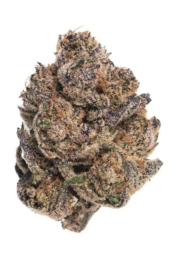 HOUSE THC-A FLOWER - TROP CHERRY (SATIVA-HYBRID)