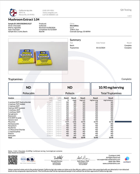 XITE: PSILLY  MAGIC MUSHROOM AND CANNABIS CHOCOLATE SQUARES