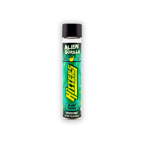 HITTERS: GLASS TIPPED INFUSED JOINT - 1G