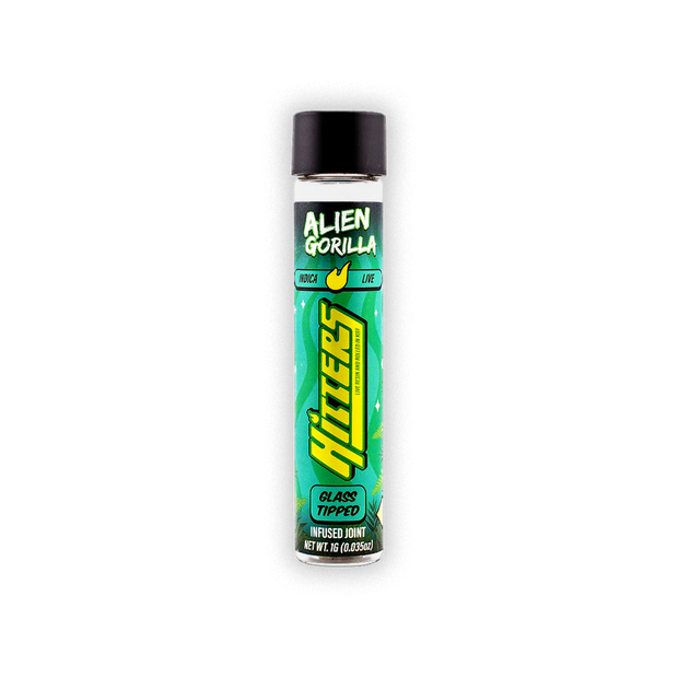HITTERS: GLASS TIPPED INFUSED JOINT - 1G