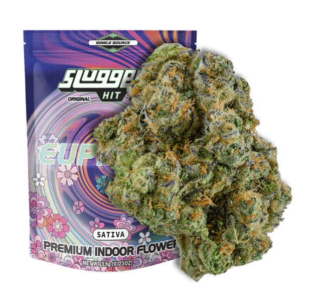 SLUGGERS HIT: PREMIUM INDOOR THCA FLOWER - 3.5G