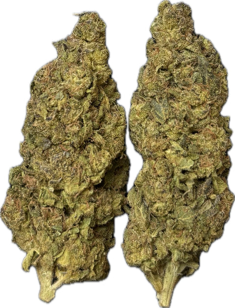 HOUSE THC-A FLOWER - GUSH MINTS (INDICA)