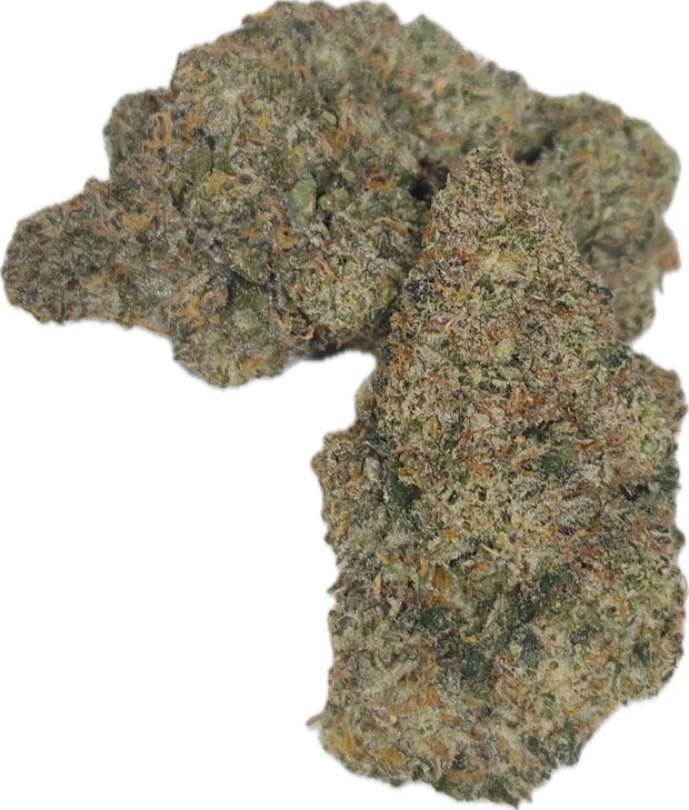 HOUSE THC-A FLOWER - HOLLYWOOD RUNTZ (HYBRID)