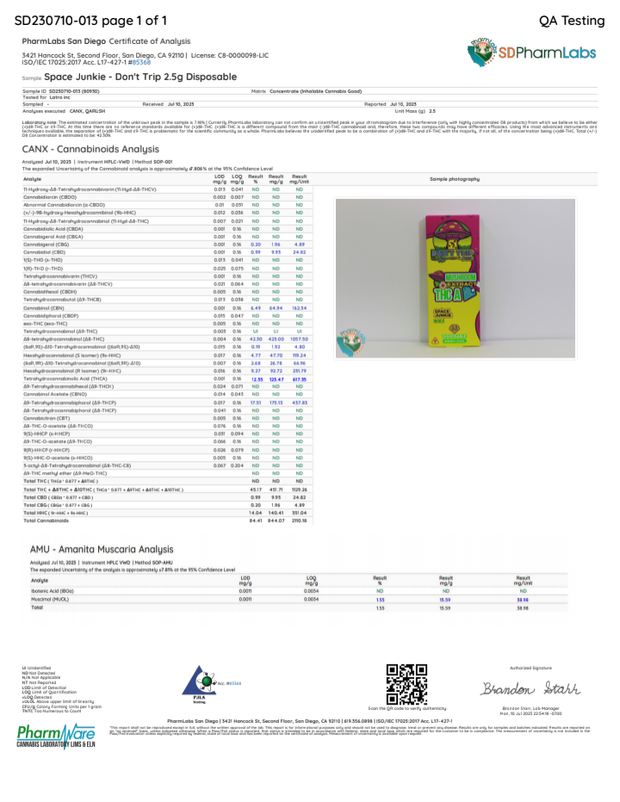 DOZO - DON'T TRIP MUSHROOM EXTRACT + THCA DISPOSABLE - 2.5G