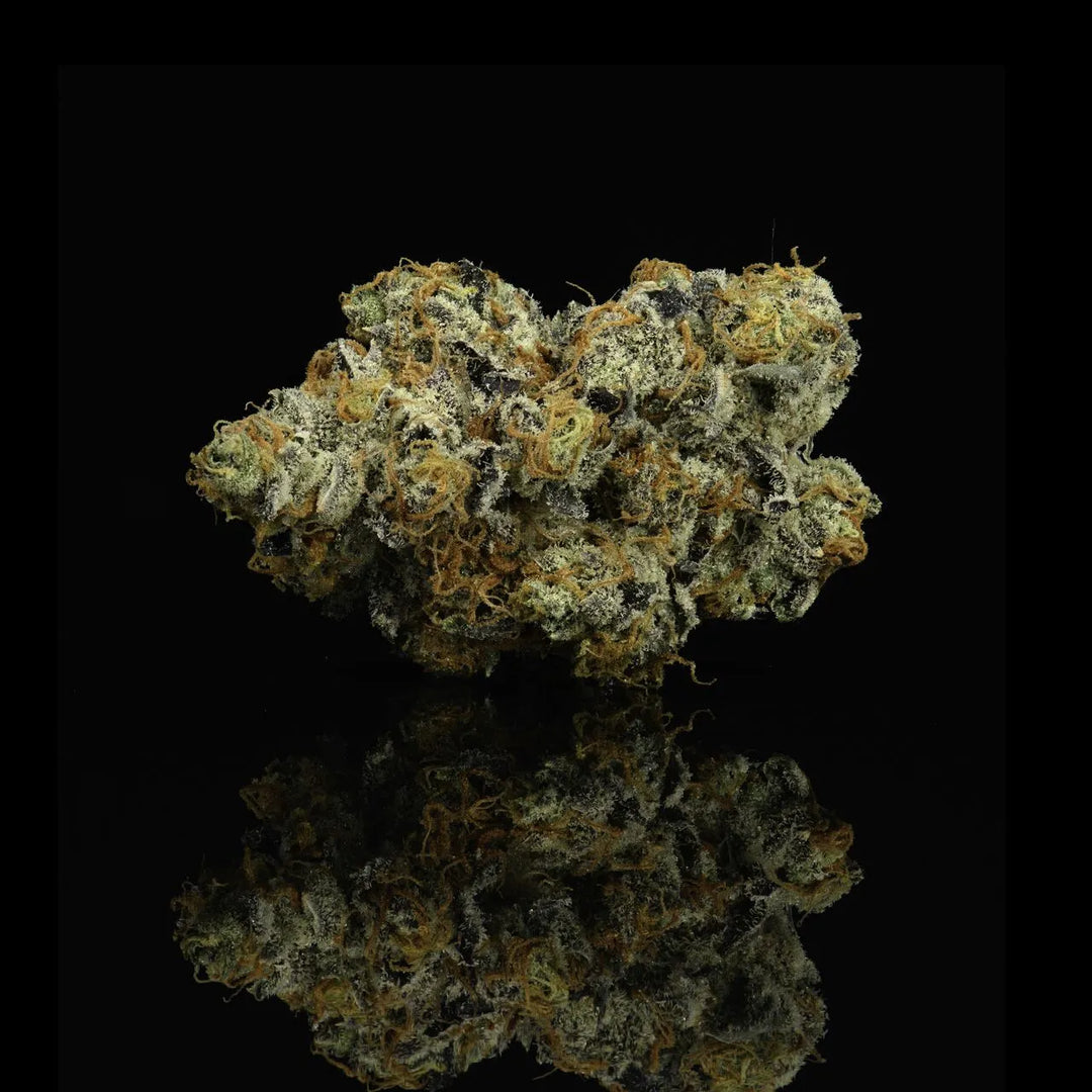 COOKIES: PRE-PACKAGED THCA FLOWER - CHEETAH PISS (HYBRID