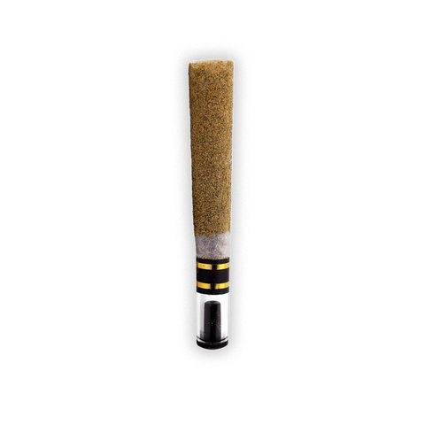 HITTERS: GLASS TIPPED INFUSED JOINT - 1G