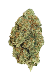 HOUSE THC-A FLOWER - VANILLA FROSTING (HYBRID)