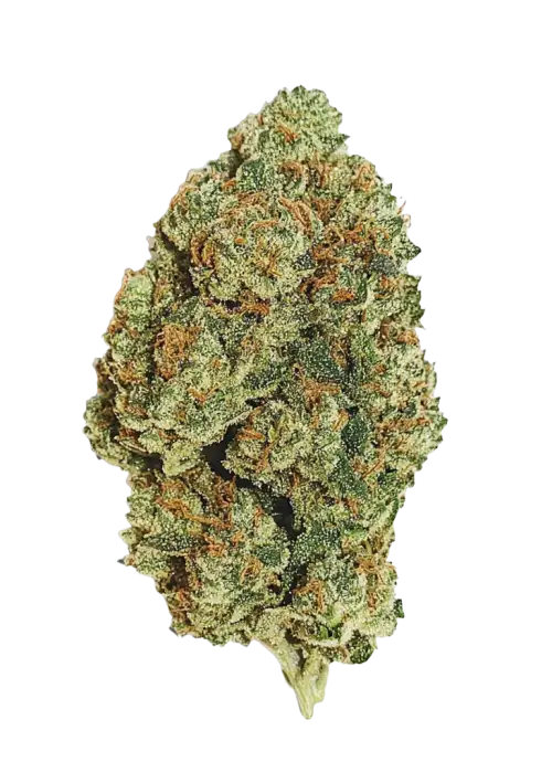 HOUSE THC-A FLOWER - VANILLA FROSTING (HYBRID)